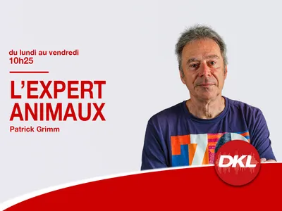 2021 - L'expert animaux v2